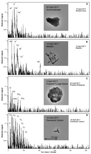 Fig2.jpg