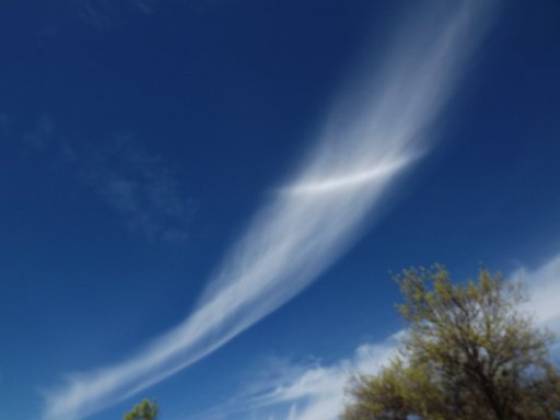 DSCF1004.JPG