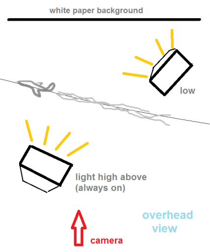 drk_trail_layout.png drk_trail_layout.png