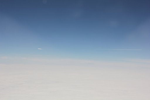 IMG_8299.JPG IMG_8299.JPG