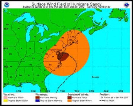 Sandy-90-turn-450x361.jpg