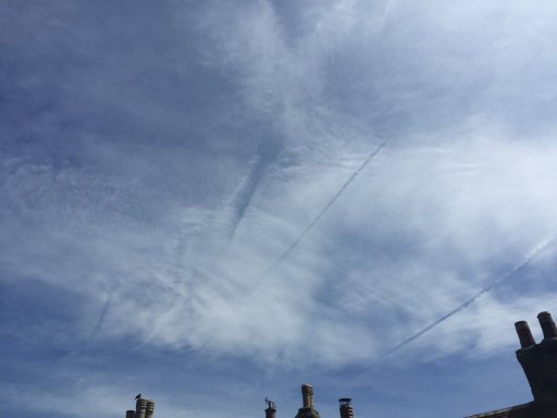 2015-06-25 11.55.54.jpg