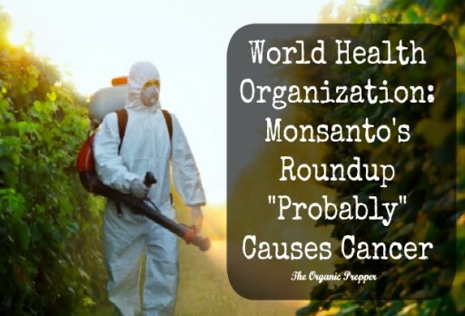 WHO-says-Round-up-probably-causes-cancer.jpg