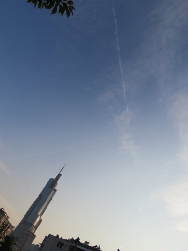IMG_3257.jpg