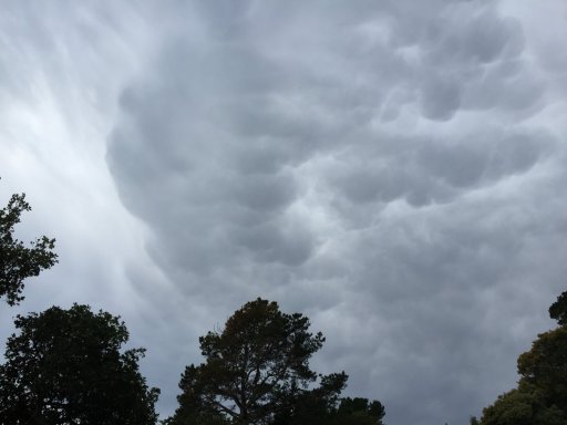 clouds151227_mammatus2.JPG