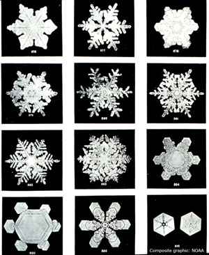 snowflake_c_NOAA_300.jpg snowflake_c_NOAA_300.jpg