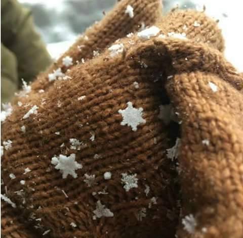 Giant Snowflakes.jpg Giant Snowflakes.jpg