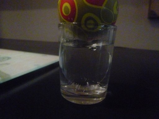 P1020015.JPG