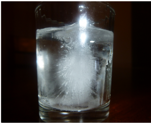 owlglasssnip.PNG