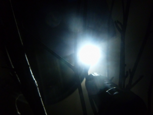 singlemoon.png singlemoon.png