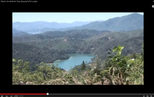 Overview of Pond.png