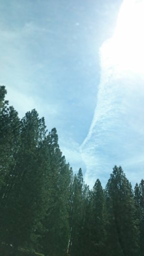 DSC_1141.JPG
