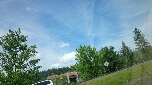 DSC_1145.JPG