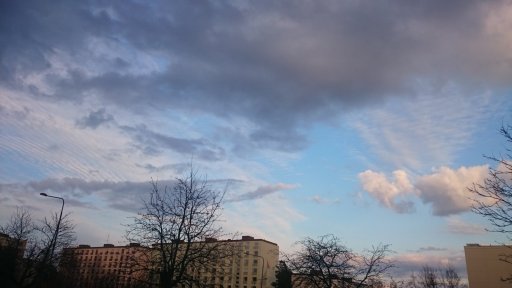 DSC_0050_1.JPG