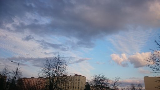 DSC_0051_1.JPG
