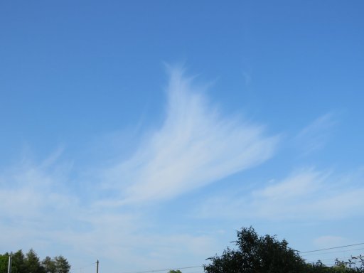 IMG_3653.JPG
