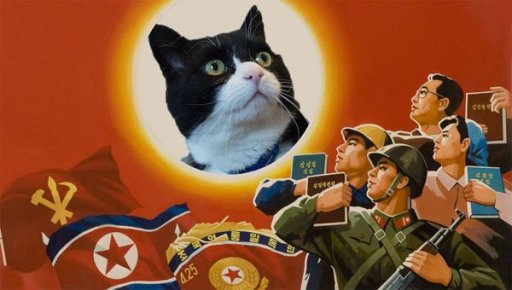 cat_spy.jpg cat_spy.jpg