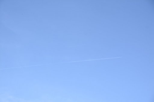 _DS23695.JPG
