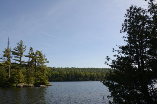 _DS23702.JPG