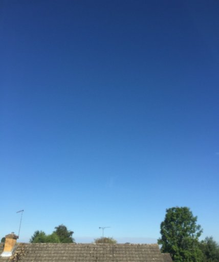 image.jpeg