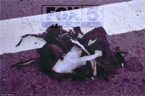 article-2310200-1954F58C000005DC-758_964x639.jpg article-2310200-1954F58C000005DC-758_964x639.jpg