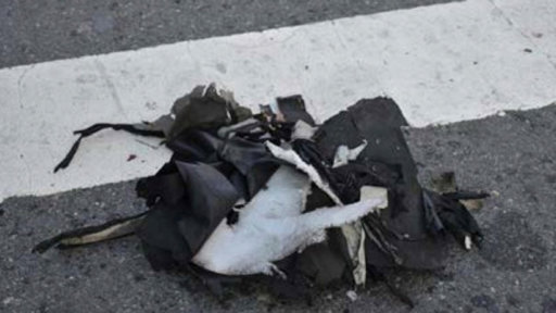 Remains-of-a-black-bag-be-016.jpg Remains-of-a-black-bag-be-016.jpg