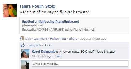 5-2planepost copy.jpg