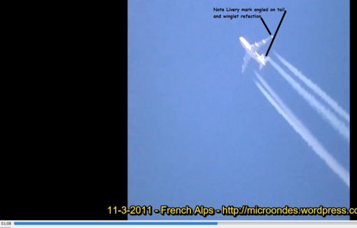 winglet-livery.jpg