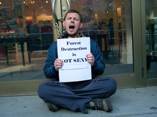 forest.jpg