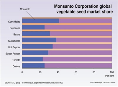 monsanto-corporations-global-vegetable-seed-market-share_1075.jpg