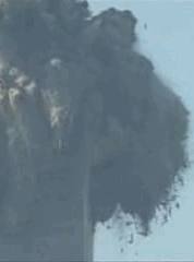 oneafteranother1.gif oneafteranother1.gif