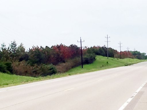 2013-06-21 13.29.44.jpg