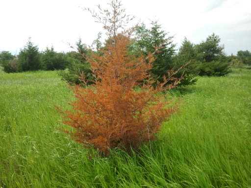 2013-06-21 16.02.14.jpg