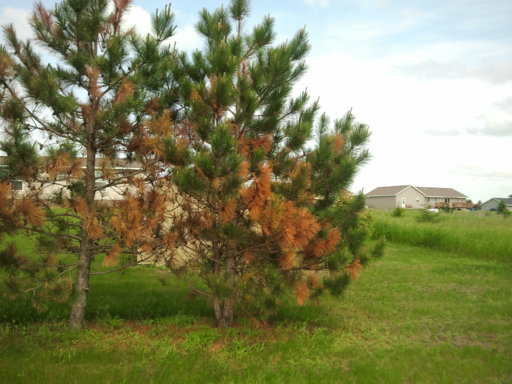 2013-06-21 15.53.55.jpg