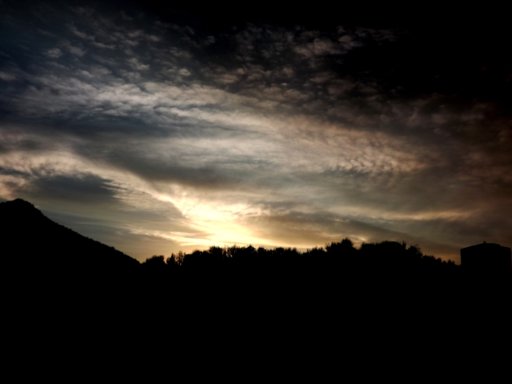 DSCF0318.jpg