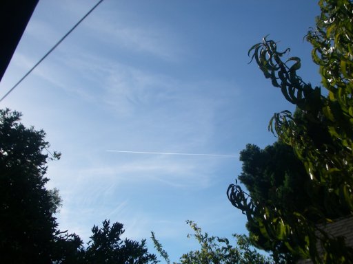 16-10-07 trail-4 0933 heading W over home.JPG