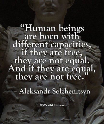 Solzhenitsyn's principle.jpg