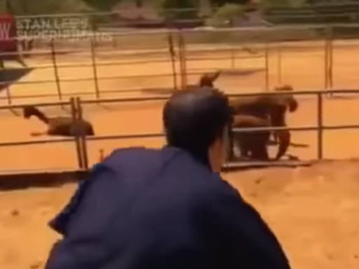 Screen Shot 2016-12-12 at 10.04.29 AM.png