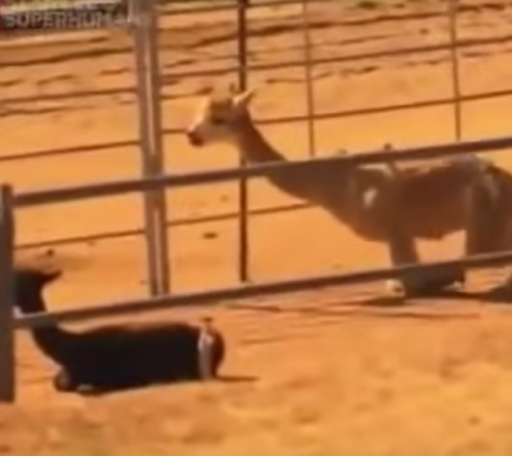 Screen Shot 2016-12-12 at 10.07.32 AM.png