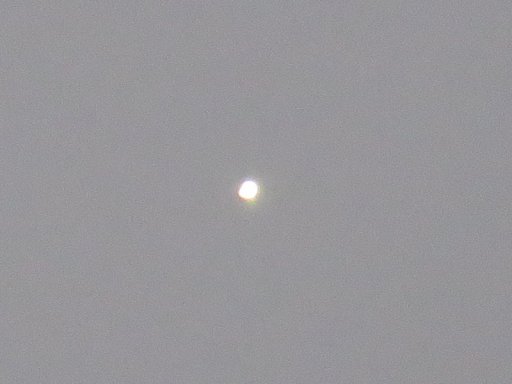 IMG_9506c.JPG