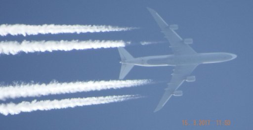 DSCF4335.jpg