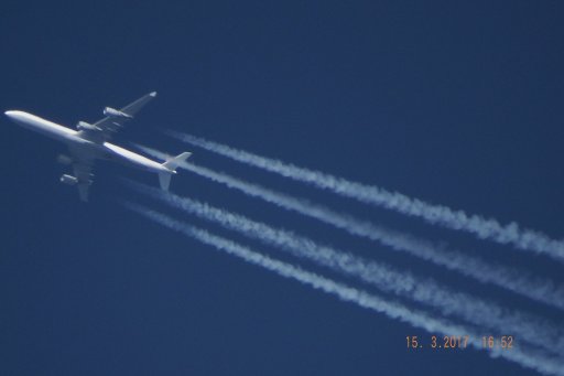 DSCF4394.JPG