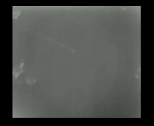 bugs thermal sr35.jpg