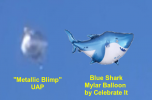 Shark.png