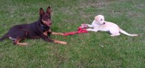 thumbnail_IMG_20210113_200702.jpg