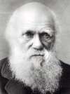 darwin-old.jpg