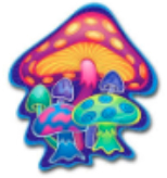 Mushrooms.jpg Mushrooms.jpg