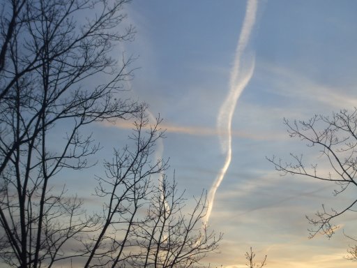 DSCF2595.JPG