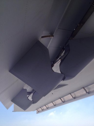 flap hne 2.jpg