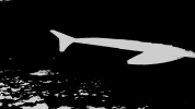 1651505843494.png
